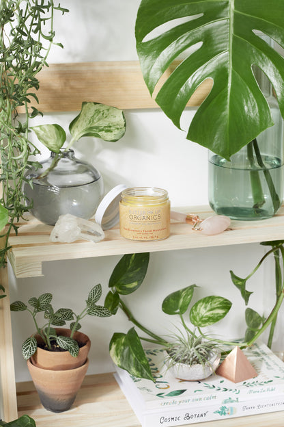 A shelf with Sea Buckthorn Facial Moisturizer, Organic Face Moisturizer, and Facial books on it. (Brand Name: White Smokey)