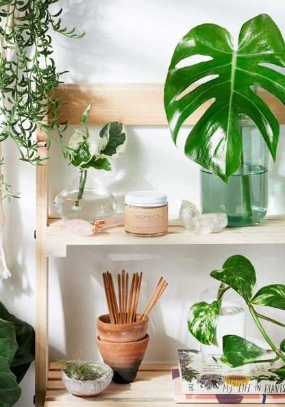 A wooden shelf displaying various houseplants, a jar labeled "White Smokey Anti Aging Night Cream Face Moisturizer Organic," aromatherapy sticks, and a book titled "My Life in Plants" in a bright, natural setting, featuring products made with all-natural ingredients.