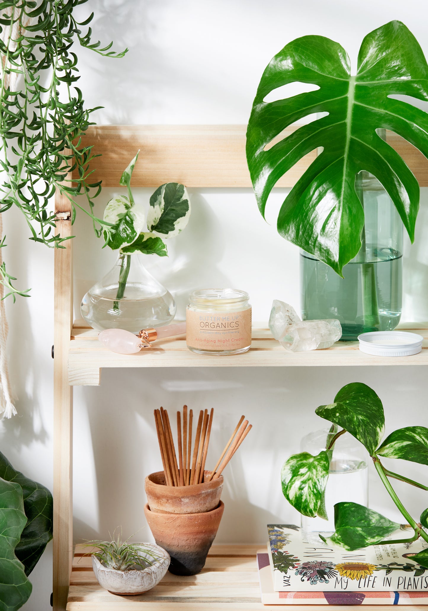 A well-organized shelf displaying various White Smokey Anti Aging Night Cream Face Moisturizer Organic, houseplants, candles, books, and all-natural ingredients in a clean, well-lit setting.